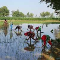 हमारे जैसा कोई और....