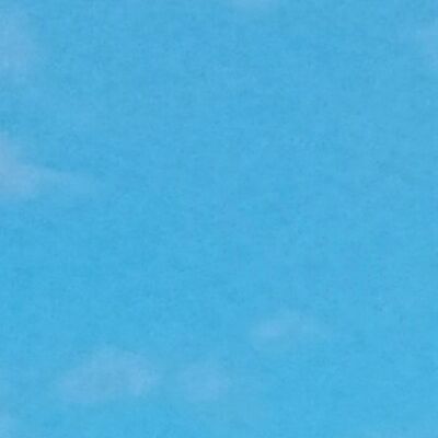 The leaf trying its best to cringe to the tree,