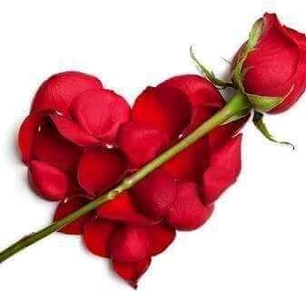 सच्चा प्यार