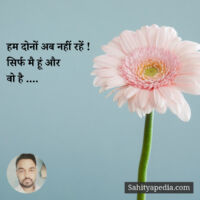 हम दोनों अब नहीं रहें !