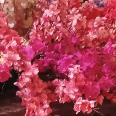 रंग अनेक है पर गुलाबी रंग मुझे बहुत भाता