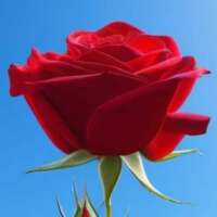 गीत मौसम का