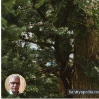 खूबसूरत