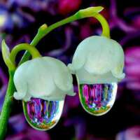 कभी - कभी .........