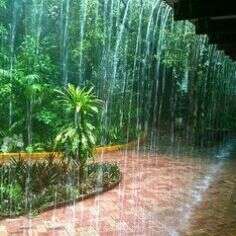 7. तेरी याद