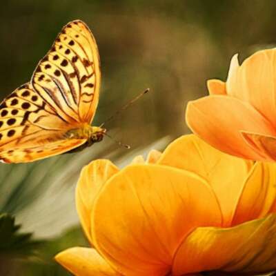 हर लम्हे में