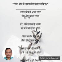 *लाल चोंच में भाता तोता (बाल कविता)*