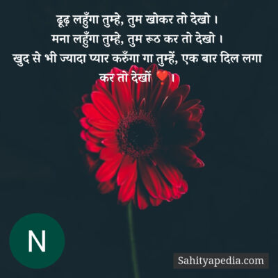 ढूढ़ लहुँगा तुम्हे, तुम खोकर तो देखो ।