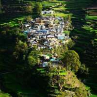 फिर एक पलायन (पहाड़ी कहानी)