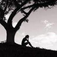 बेपरवाही का आलम