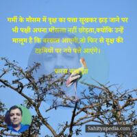 गर्मी के मौसम में वृक्ष का पत्ता सूखकर झड़ जाने पर भी पक्षी