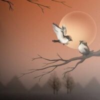 ललन छवि सुख कारी