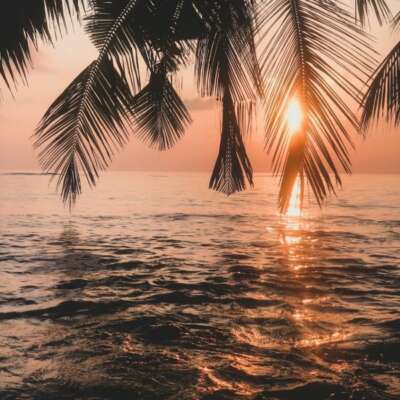 निखरे मौसम में भी, स्याह बादल चले आते हैं, भरते ज़ख्मों को कुरेद कर, नासूर बना जाते हैं।