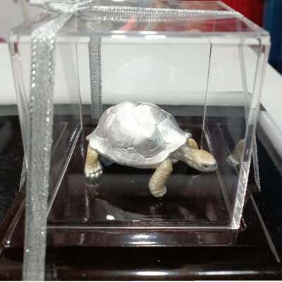 *जानो कछुआ देवता, हुआ कूर्म-अवतार (कुंडलिया)*