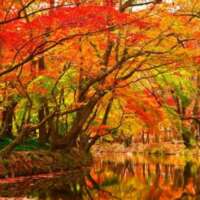 उनको मंजिल कहाँ नसीब