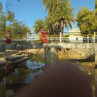 पर्यावरण पच्चीसी