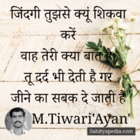 जिंदगी तुझसे क्यूं शिकवा करें