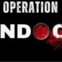 सिन्दूर (ऑपरेशन सिंदूर)