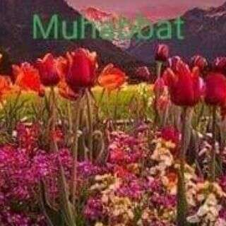 वो भी क्या दिन थे