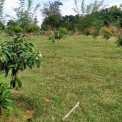 तेरी धरती का खा रहे हैं हम