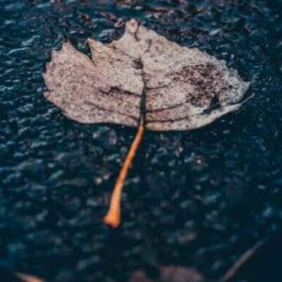 बारिश की बौछार