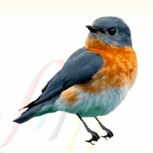 बाल कविता