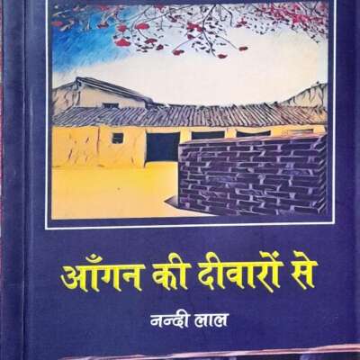 आँगन की दीवारों से ( समीक्षा )