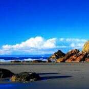 राख का ढेर।