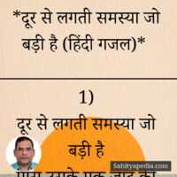 *दूर से लगती समस्या जो बड़ी है (हिंदी गजल)*