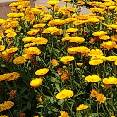 जब प्यार है