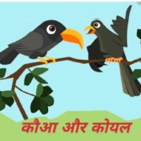 कौआ और कोयल ( दोस्ती )