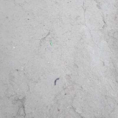 साहित्यकारों से