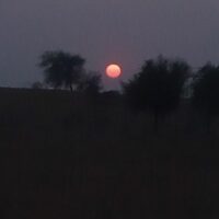 सात सवाल