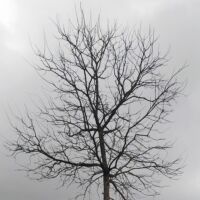 वातावरण