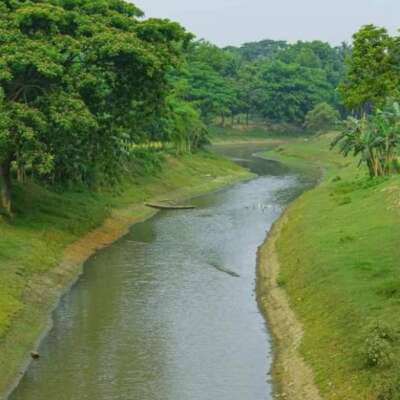 नदी से जल सूखने मत देना, पेड़ से साख गिरने मत देना,
