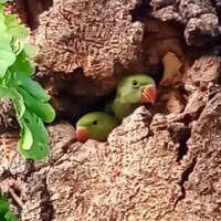 लौट आई जिंदगी बेटी बनकर!