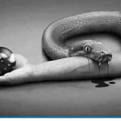 दुनिया रंग दिखाती है