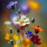 मैं तुझसे मोहब्बत करने लगा हूं