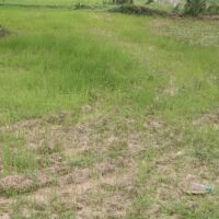 बरखा रानी कब परही तोर बौछार..