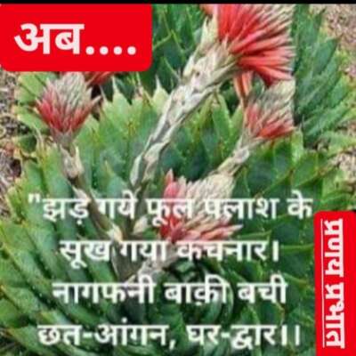 ■ आज का दोहा