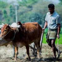 ★किसान ★