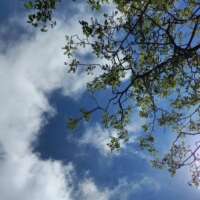 सत्य कभी निरभ्र नभ-सा