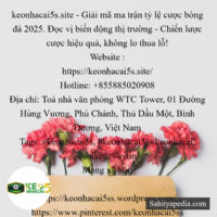 keonhacai5s.site - Giải mã ma trận tỷ lệ cược bóng đá 2025.