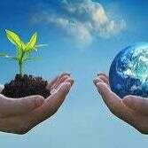 पर्यावरण के दोहे