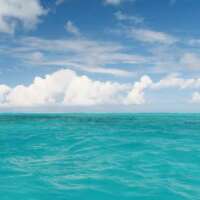 मैं अपने अधरों को मौन करूं