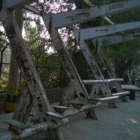 शातिर लोगों को सामाजिक होना पड़ता है