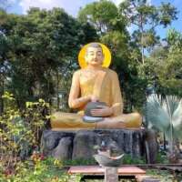 बुद्ध को है नमन