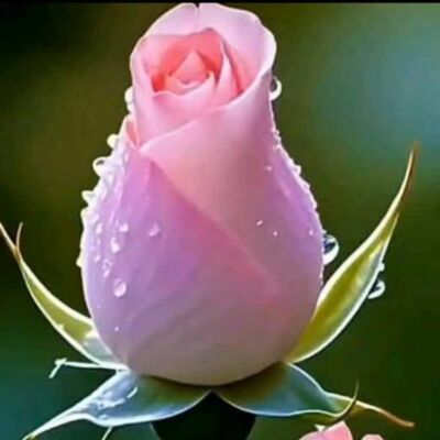 शब्दों की बाजीगरी