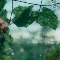 पढ़े-लिखे पर मूढ़