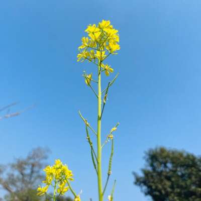 ‘प्रकृति से सीख’